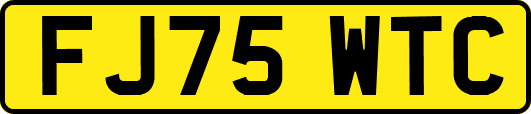 FJ75WTC