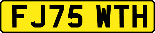 FJ75WTH