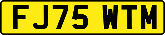 FJ75WTM