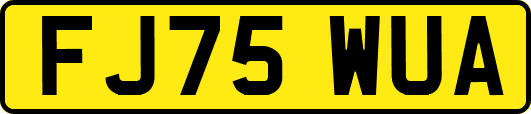 FJ75WUA