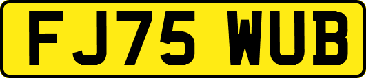 FJ75WUB