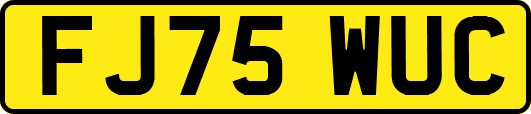 FJ75WUC