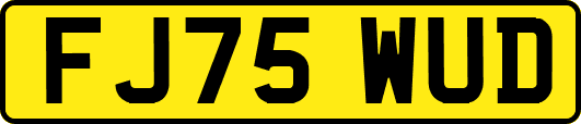 FJ75WUD