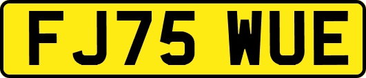 FJ75WUE