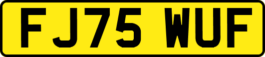 FJ75WUF