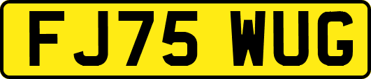 FJ75WUG