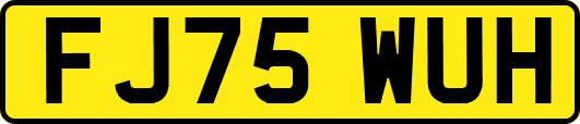 FJ75WUH