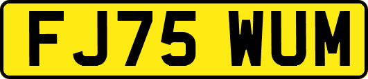 FJ75WUM