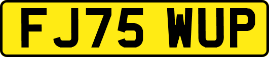 FJ75WUP