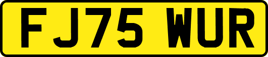 FJ75WUR