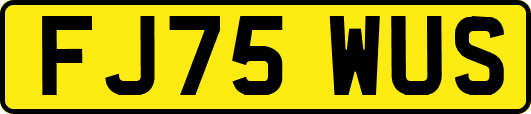 FJ75WUS