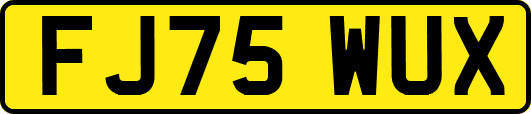 FJ75WUX