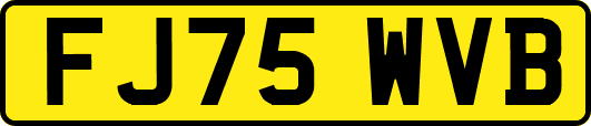 FJ75WVB