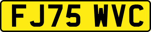FJ75WVC