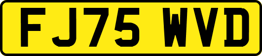 FJ75WVD