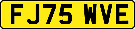FJ75WVE