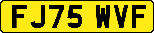 FJ75WVF