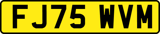 FJ75WVM