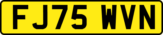 FJ75WVN