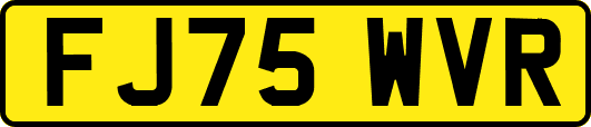FJ75WVR