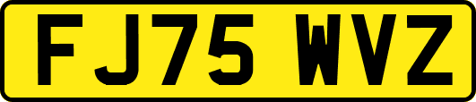 FJ75WVZ