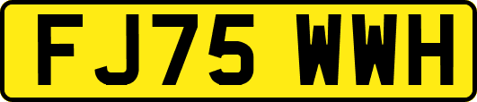FJ75WWH