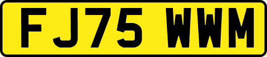 FJ75WWM