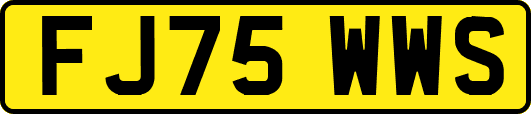 FJ75WWS