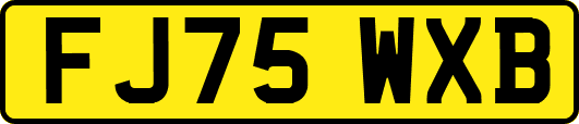 FJ75WXB
