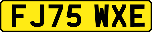 FJ75WXE