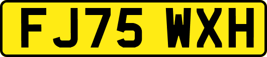 FJ75WXH