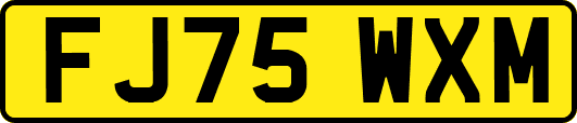 FJ75WXM
