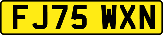 FJ75WXN
