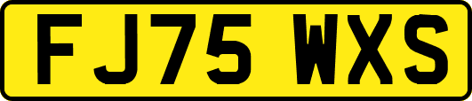 FJ75WXS