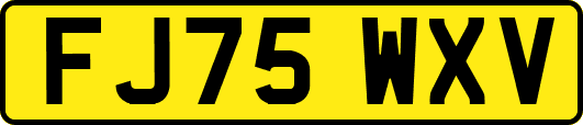 FJ75WXV