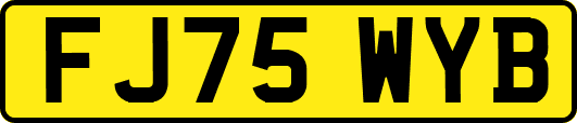 FJ75WYB