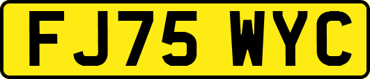 FJ75WYC