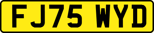 FJ75WYD