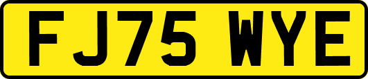FJ75WYE
