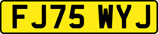 FJ75WYJ