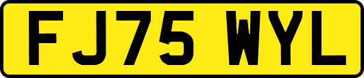 FJ75WYL