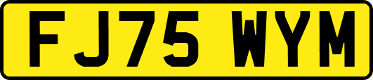 FJ75WYM