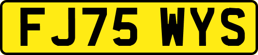 FJ75WYS