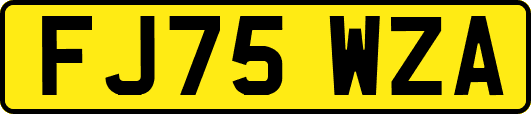 FJ75WZA