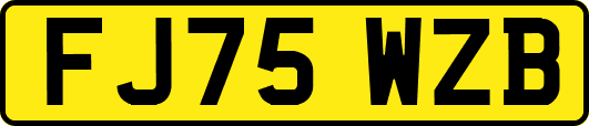 FJ75WZB