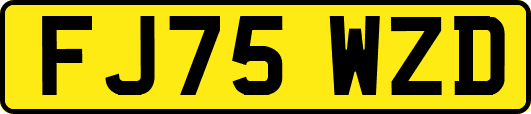 FJ75WZD