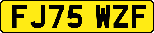 FJ75WZF