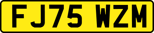 FJ75WZM