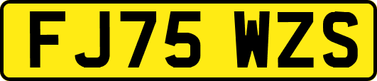 FJ75WZS
