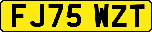 FJ75WZT